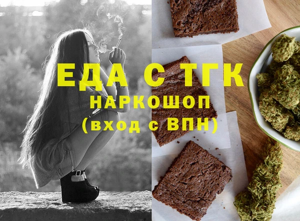 индика Дмитриев