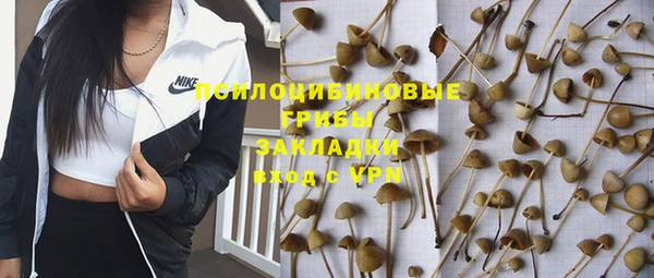 прущая мука Белоозёрский