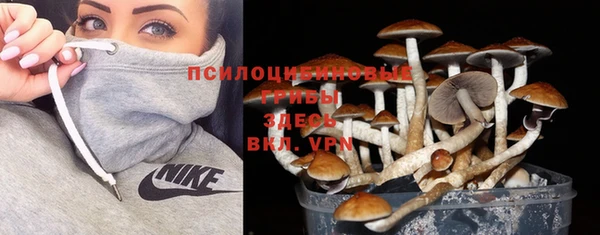 прущая мука Белоозёрский