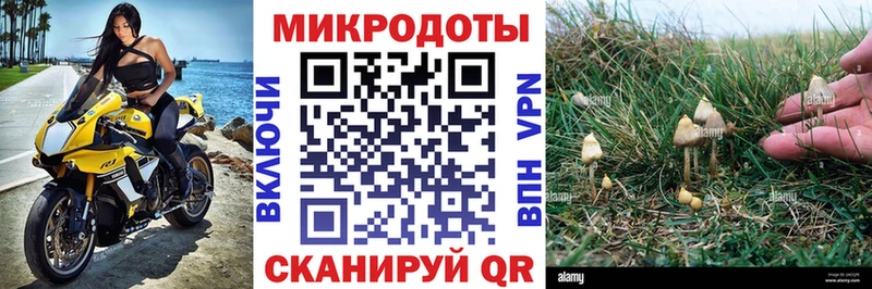OMG зеркало  Кушва  Галлюциногенные грибы Cubensis 
